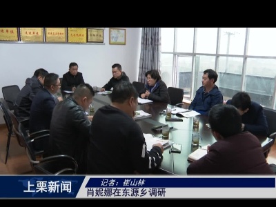 肖妮娜在东源乡调研（崔山林）
