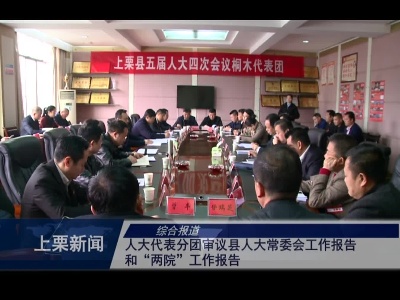 人大代表分团审议县人大常委会工作报告和“两院”工作报告（综合报道）