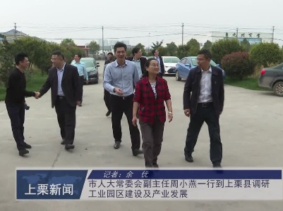 市人大常委会副主任周小燕一行到上栗县调研工业园区建设及产业发展（余优）