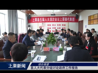 县人大代表分组讨论政府工作报告（综合报道）