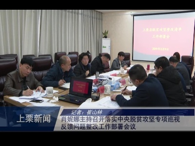 肖妮娜主持召开落实中央脱贫攻坚专项巡视反馈问题整改工作部署会议(崔山林)