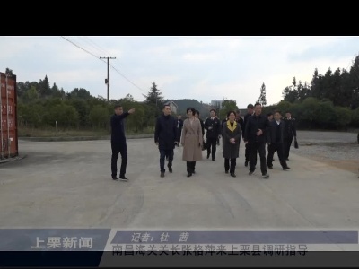 南昌海关关长张格萍来上栗县调研指导（杜茜）
