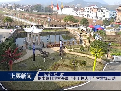 桐木镇荆坪村开展“小手拉大手”学雷锋活动（杜 茜）