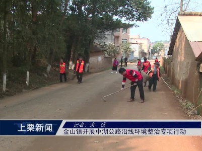 金山镇开展金湖公路沿线环境整治专项行动（余优）