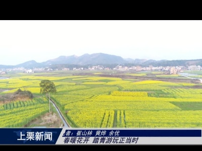 春暖花开 踏青游玩正当时（崔山林 黄烨 余优）