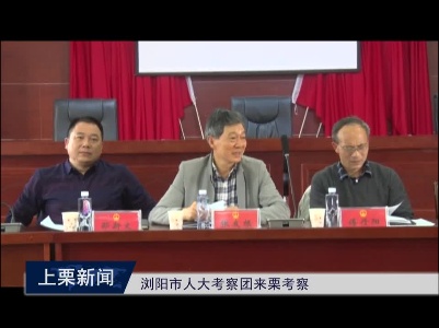 浏阳市人大考察团来栗考察学习（李子文）