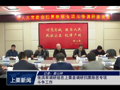 张洪率调研组在上栗县调研扫黑除恶专项斗争工作（记者崔山林）