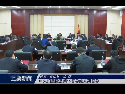 中央扫黑除恶第15督导组来栗督导（崔山林  余  优）