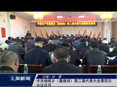 中共杨歧乡  （垦殖场）第二届代表大会第四次会议召开（杜茜）