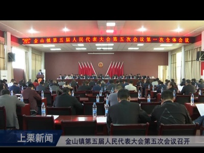 金山镇第五届人民代表大会第五次会议召开（崔山林）