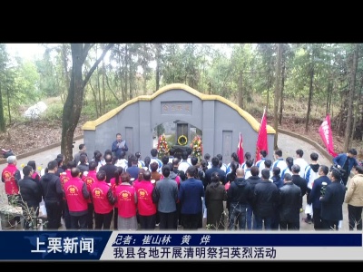 我县各地开展清明祭扫英烈活动（崔山林 黄烨）