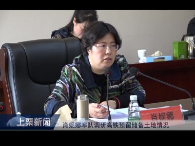 肖妮娜率队调研高铁预留储备土地情况（余优）