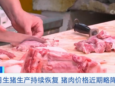 价格降了！猪肉迎来重要拐点！专家预计：接下来肉价这么走→
