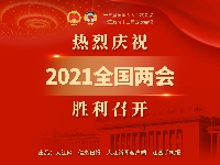 热烈庆祝2021全国两会胜利召开