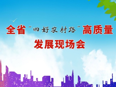 全省“四好农村路”现场会