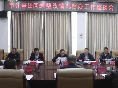 市人大常委会副主任姚虎来到芦溪县开展审计查出问题整改情况督办工作