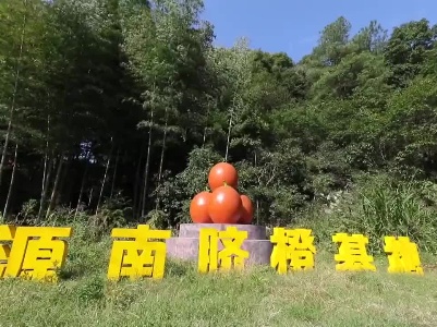 【文明村镇】源南乡：废弃矿山变果园 喜获丰收笑开颜