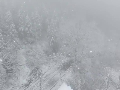 【我为群众办实事】芦溪县积极应对雨雪天气保国省道安全畅通