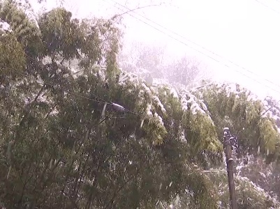 【我为群众办实事】大雪致山区居民用电中断 电力部门紧急抢修