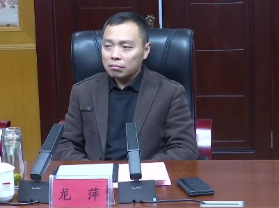 【项目大会战】县委副书记、县长龙萍会见客商