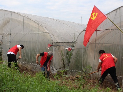 江西德安：“农小帮”团队全力做好农业抗灾救灾工作