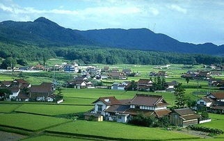 江西上线农村人居环境“码上通” 随手拍可改善农村人居环境