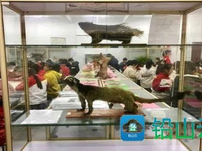 铅山县新增两所学校入选“江西省科普教育基地”