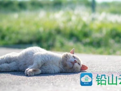 速看！放假通知
