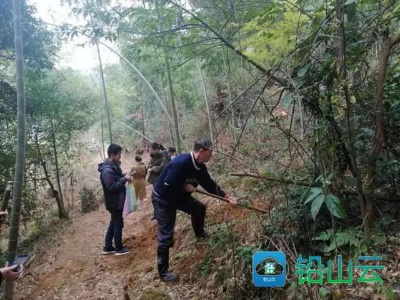 【关注】做足“竹”文章！江西这里的冬笋节有意思、接地气！