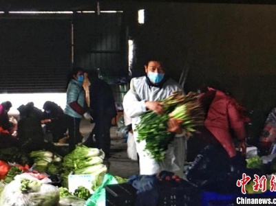 疫情之下，湖北一家旅行社的“特殊业务”