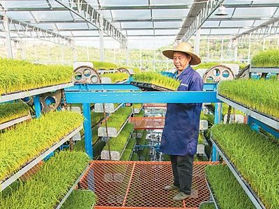 越来越多“黑科技”被用于生产 智慧农业显身手