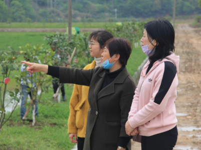 【脱贫攻坚】铅山：在脱贫攻坚中注入澎湃“她”力量