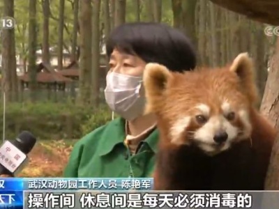 武汉动物园今起有序恢复开放