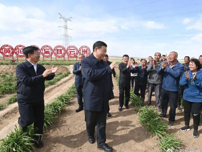 习近平：让黄花成为群众脱贫致富的“摇钱草”