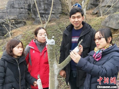 绿水青山变“金山银山” 重庆林业实施八项举措助扶贫
