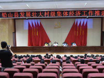 全县发展壮大村级集体经济工作推进会召开