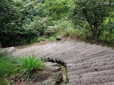 首届吴伯箫散文奖参赛作品 （215）丁智 : 那条古驿山路