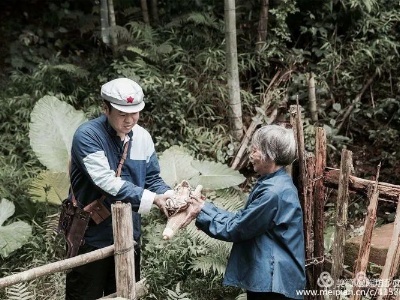 【献礼八一】陈坊故事一一红色革命战争