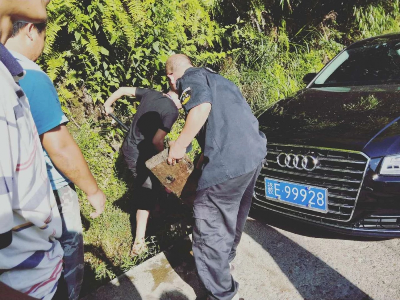 舍己为公！“篁村志愿者联防队”治山理水传佳话--铅山县武夷山镇篁村志愿者联防队全力护家园