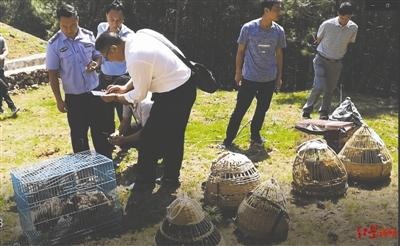 濒危动物上餐桌 一起命案牵出的买卖野生动物大案