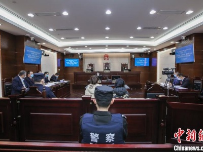 两男子非法收购售卖薮猫被判刑罚款