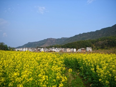 建设“山青、水秀、物丰、人美”的生态英将