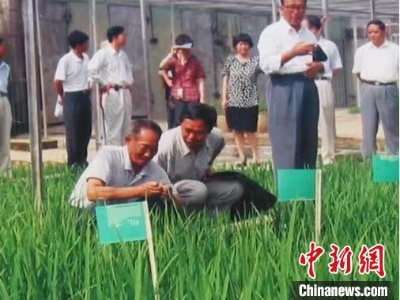 贵州农科人追忆袁隆平：他是我们的好老师