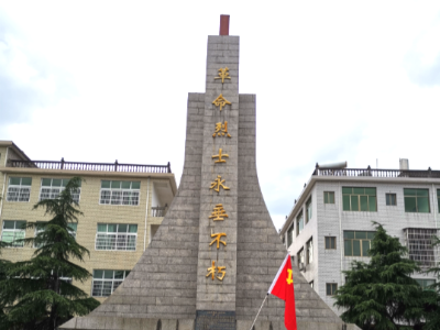 陈坊乡开展“学习百年党史，汲取奋进力量”主题日活动