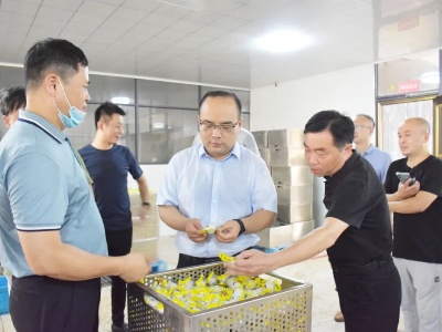 未小刚到县现代农业示范园调研