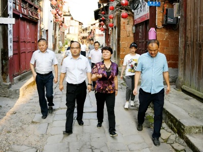 市委常委、宣传部长蒋丽华来铅调研
