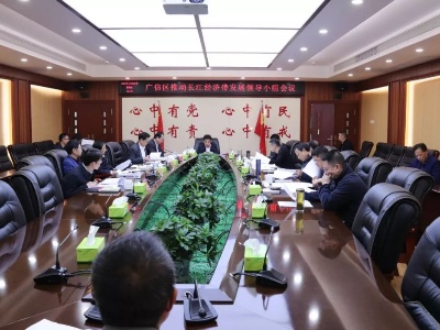 我区召开推动长江经济带发展领导小组工作推进会