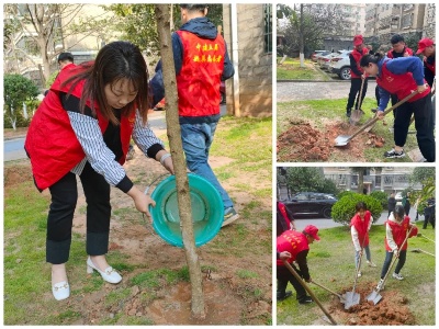 青春护绿 播种未来——广信区青年志愿者义务植树活动