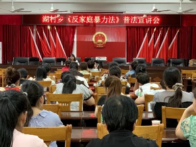 湖村乡妇联开展反家庭暴力法普法宣讲会