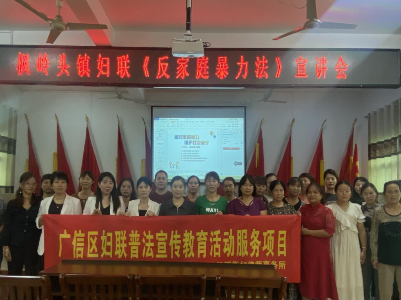枫岭头镇妇联开展反家庭暴力法普法宣讲会